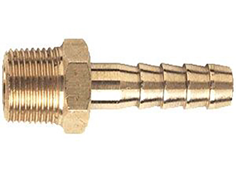 Brass Hosetail