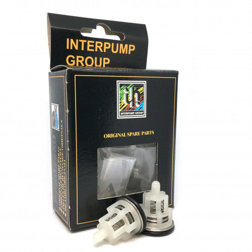 Interpump Kit 1 Valve Repair Kit